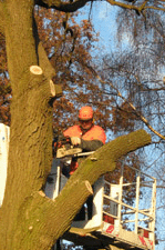 Steiger_schmal