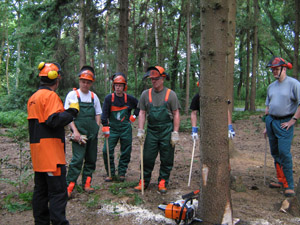 lehrer-gruppe
